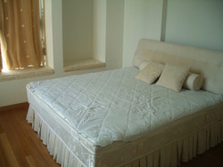 Paterson Residence (D9), Condominium #253873401